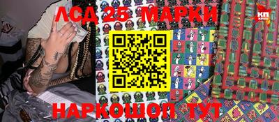 индика Лесосибирск