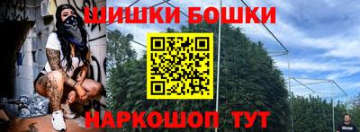 индика Лесосибирск