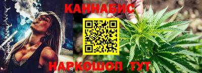 индика Лесосибирск