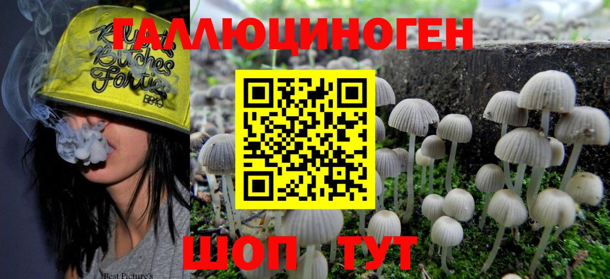 Псилоцибиновые грибы мицелий Верхний Уфалей