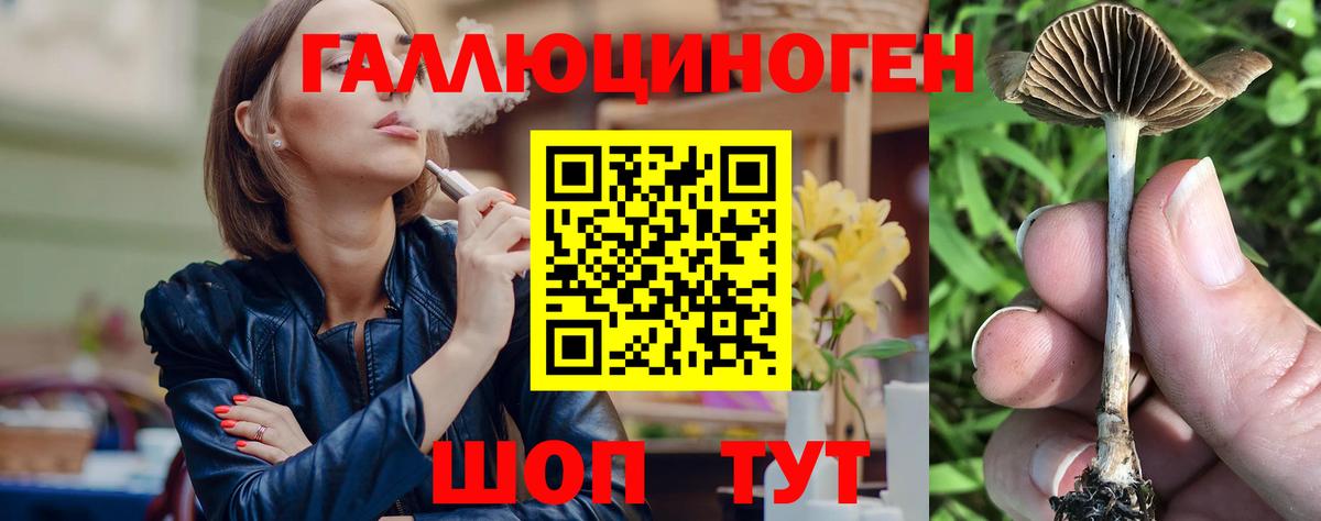 даркнет сайт  Вход с VPN  Верхний Уфалей  Галлюциногенные грибы Psilocybine cubensis 